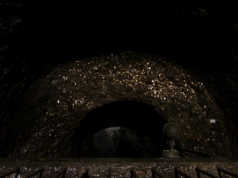 c0206352_64047.jpg