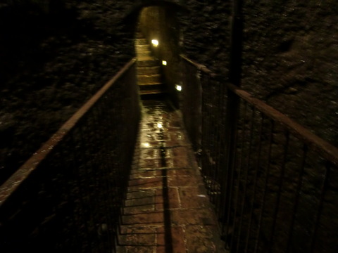 c0206352_6423050.jpg