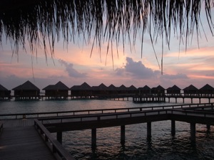 f0190653_11133090.jpg