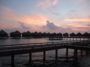 f0190653_1114278.jpg