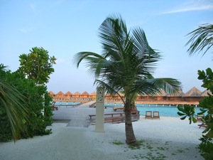 f0190653_1144159.jpg