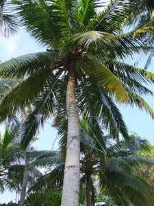 f0190653_11443582.jpg
