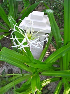 f0190653_11443873.jpg