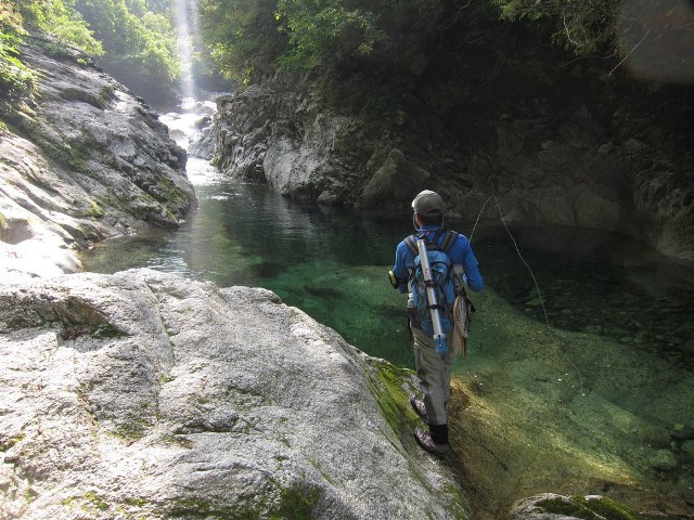 b0177355_21374918.jpg