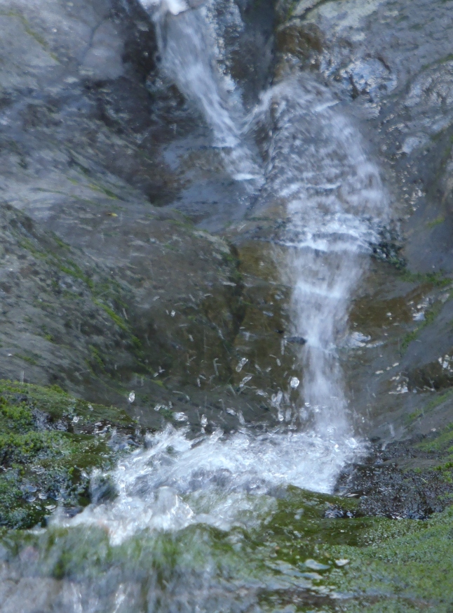 d0169556_18294434.jpg