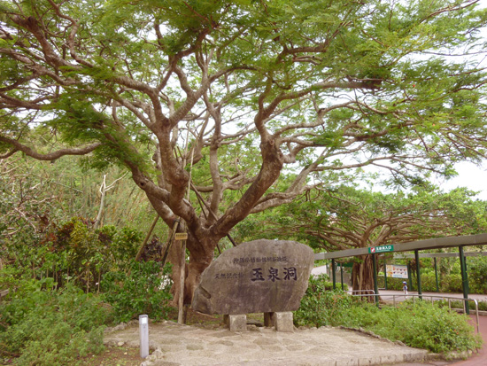 f0054556_0501165.jpg