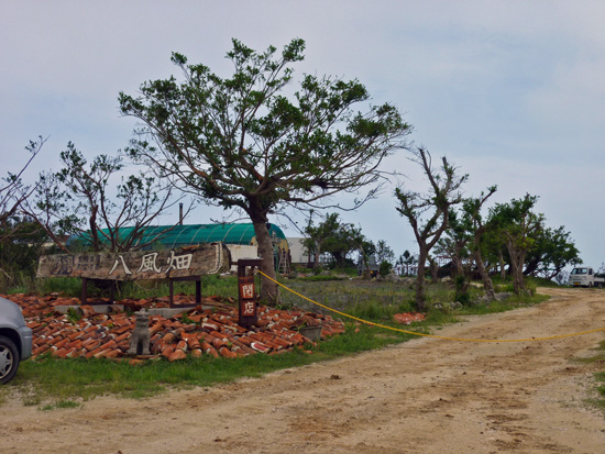 f0054556_2058972.jpg