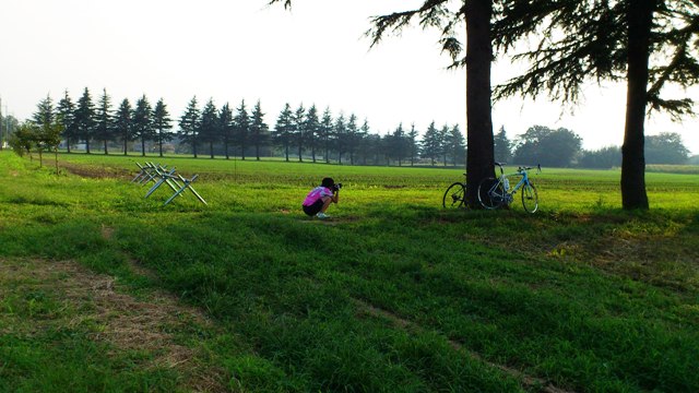 c0214259_20591695.jpg