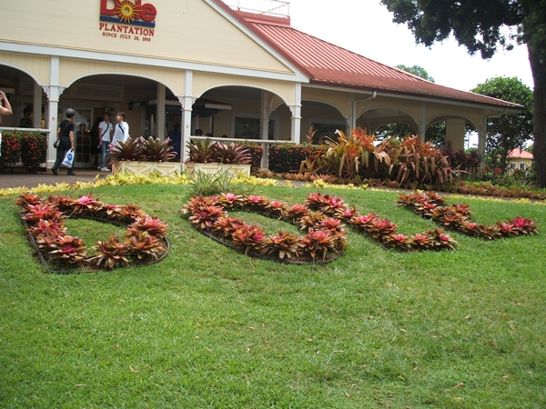 e0138560_23492885.jpg