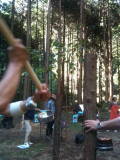 f0223360_012426.jpg