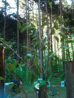 f0223360_0135788.jpg