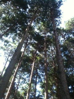 f0223360_024621.jpg