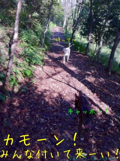f0177261_1353582.jpg