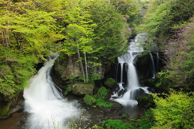 f0222161_21413097.jpg