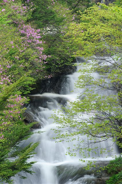 f0222161_21413817.jpg