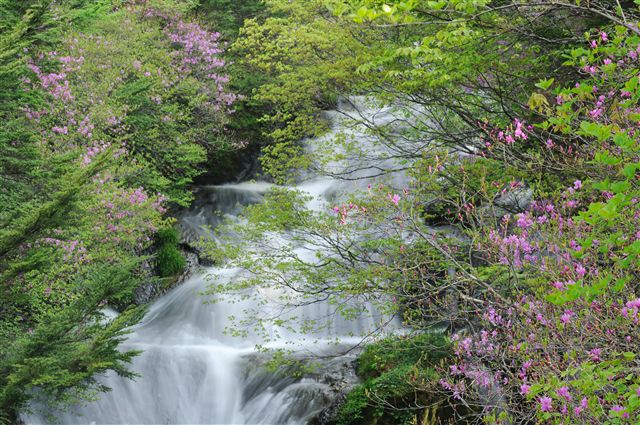 f0222161_21414446.jpg