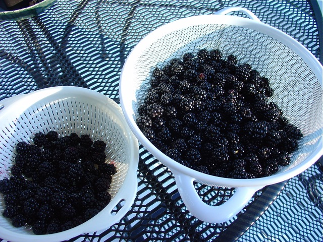 b0185262_1572960.jpg