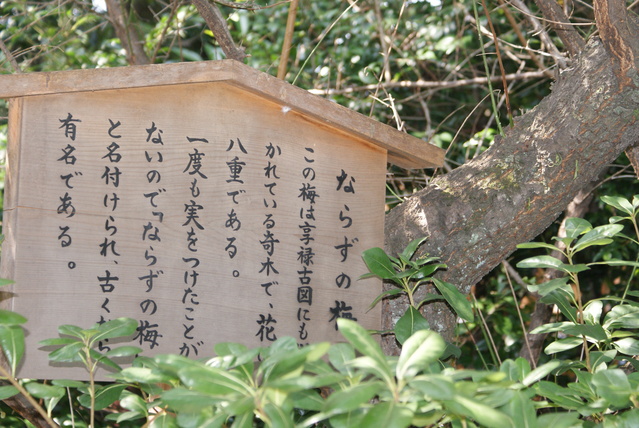a0091666_13521455.jpg