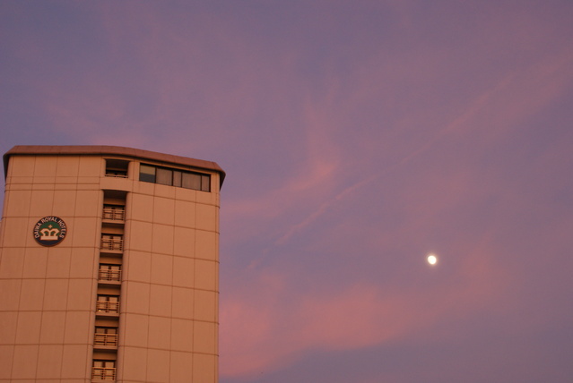 a0091666_14354985.jpg