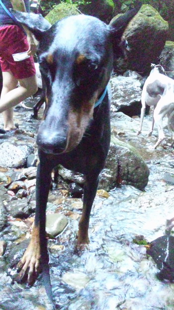 a0223066_22403859.jpg