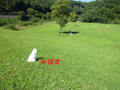 d0004968_23122293.jpg