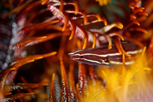 c0181073_6273564.jpg