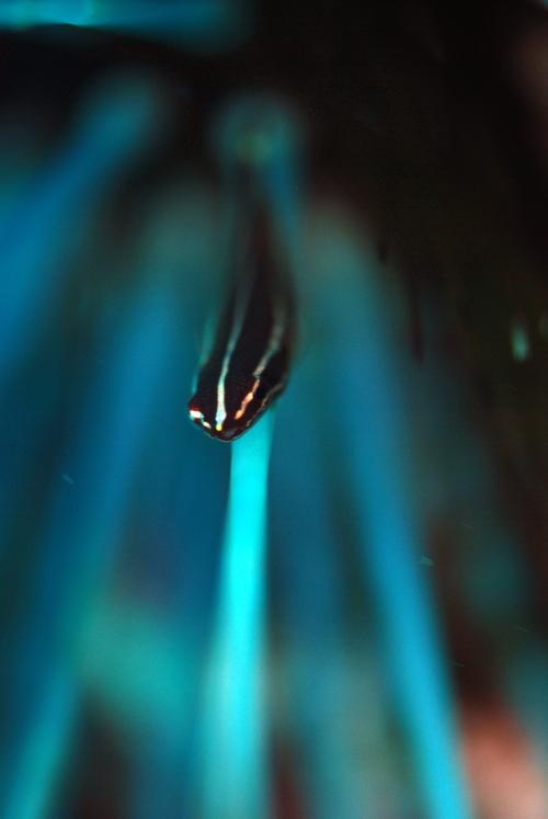 c0181073_6334220.jpg
