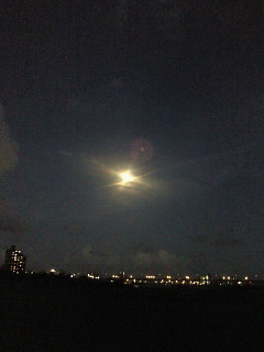 d0161575_11433571.jpg
