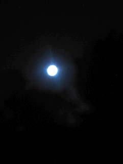 f0056476_23493045.jpg