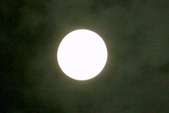 f0090177_21241510.jpg