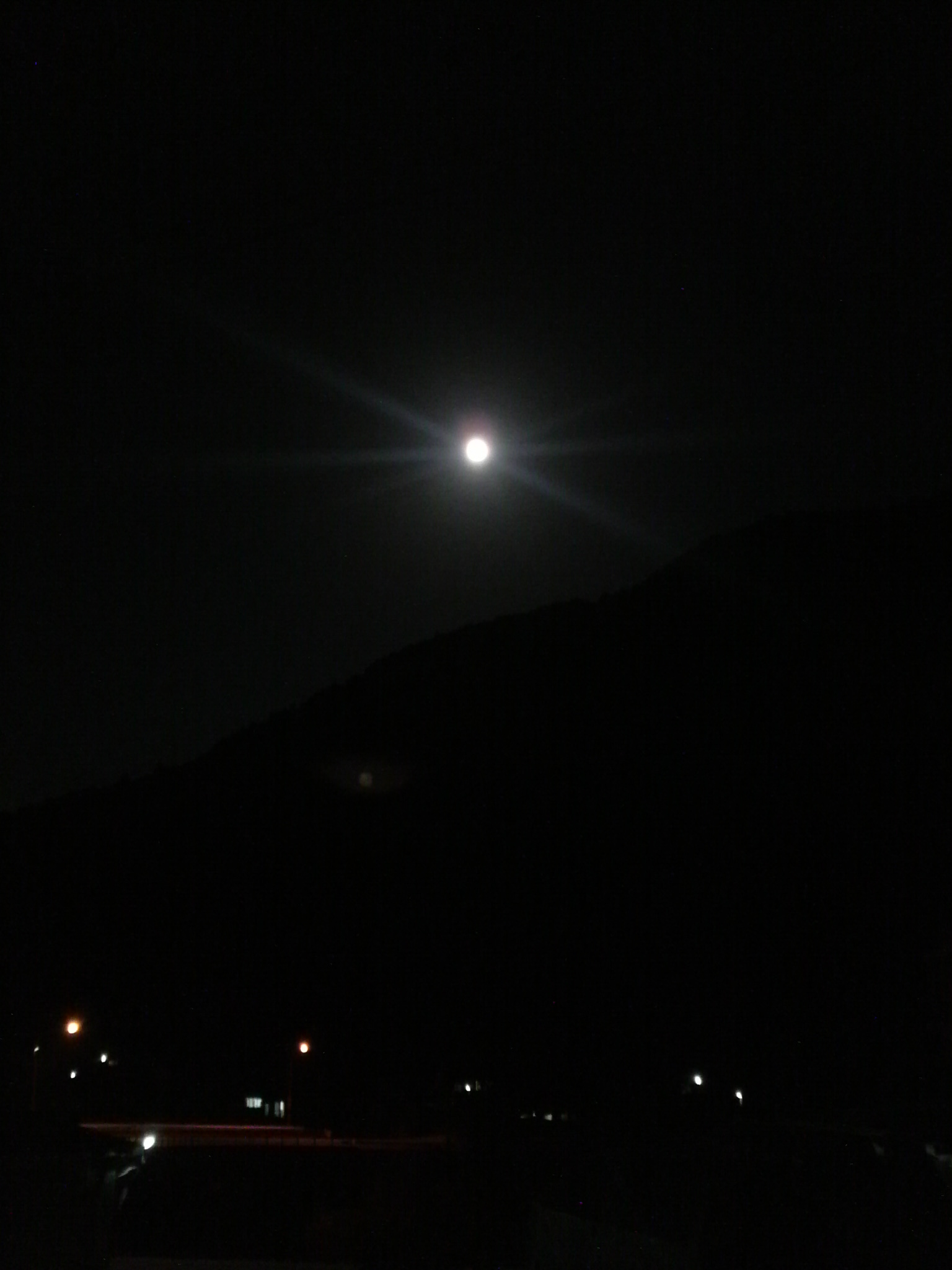 b0205079_21135588.jpg