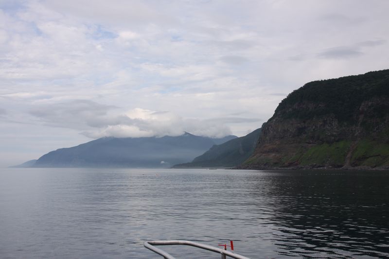 c0148781_19382485.jpg
