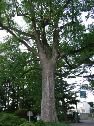 c0195281_457895.jpg