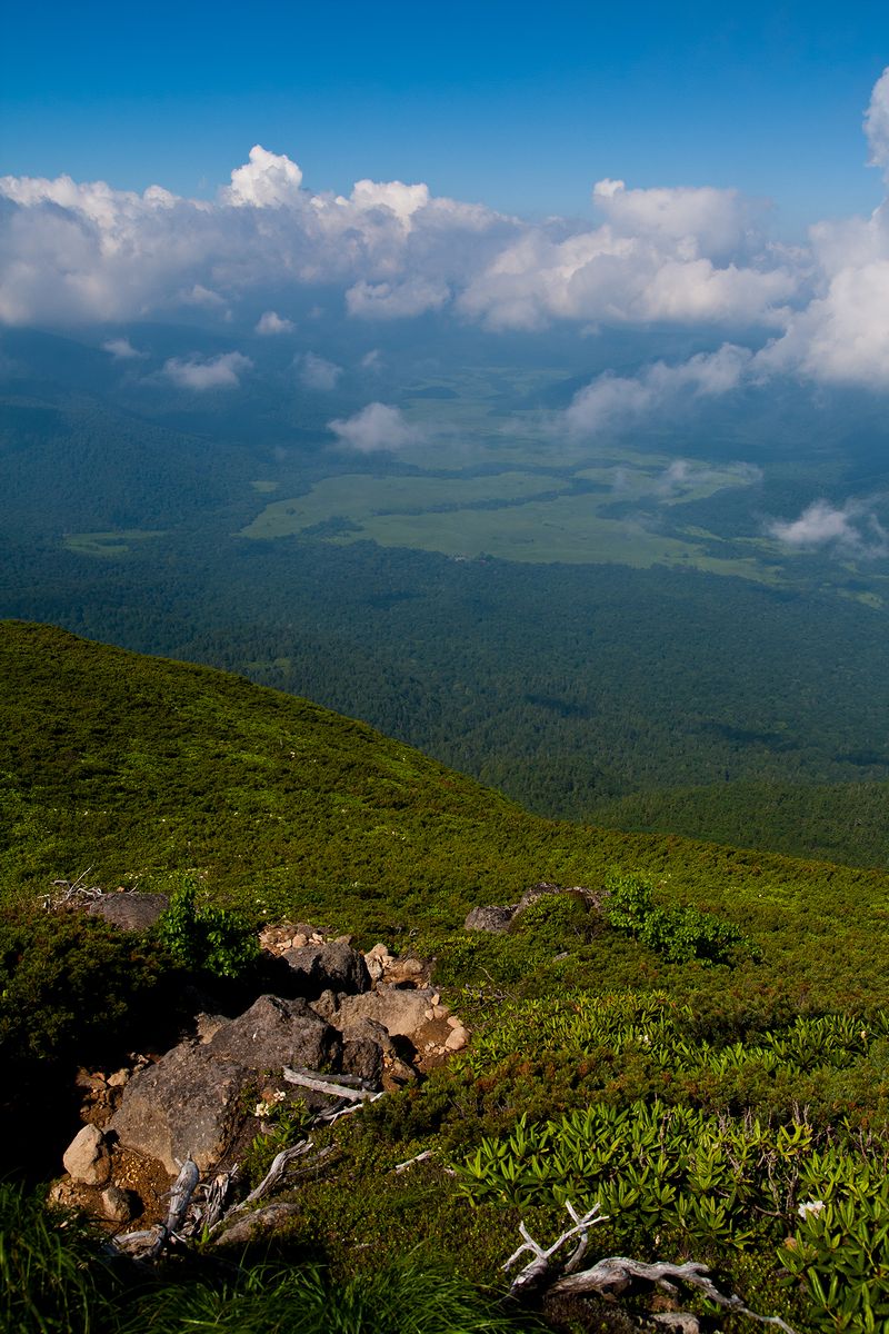 f0234982_1016229.jpg