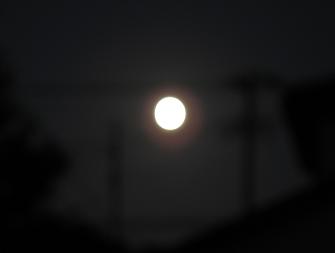 e0130185_19404162.jpg