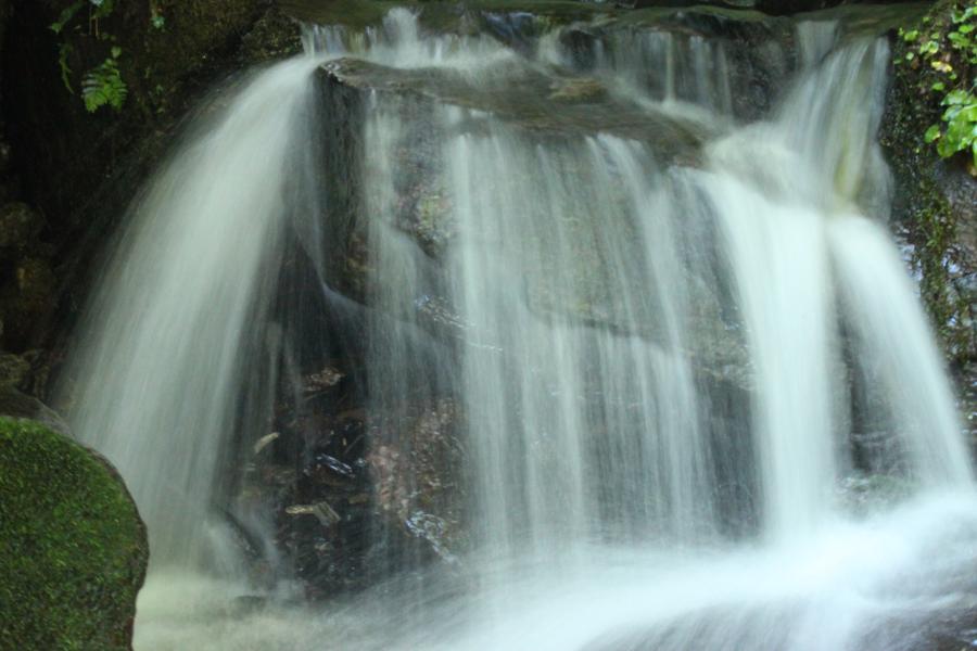 f0138588_112244100.jpg