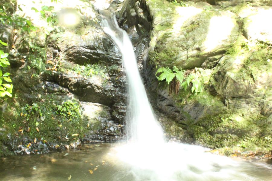 f0138588_1123177.jpg