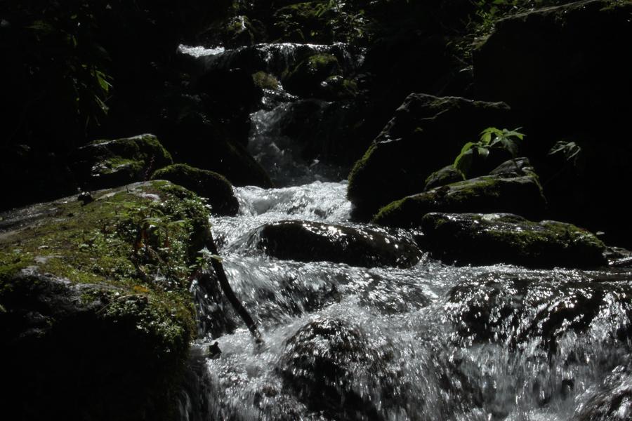 f0138588_11232410.jpg
