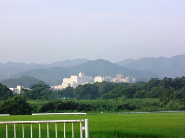 e0137390_202007.jpg