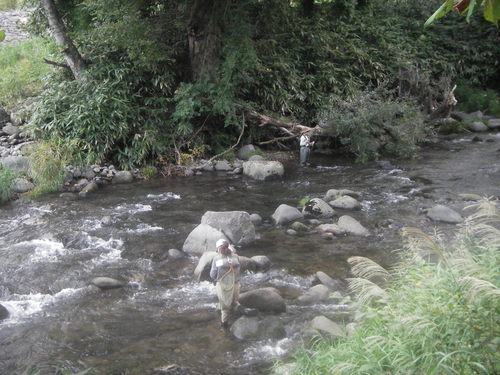 d0250395_095118.jpg