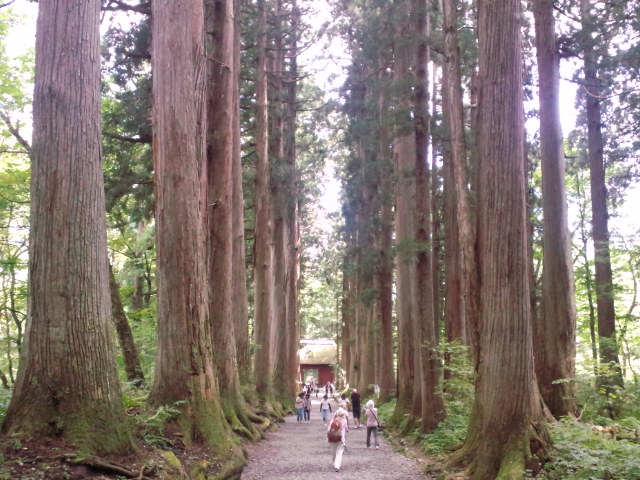 f0042295_15513872.jpg