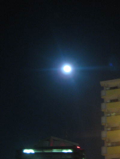 b0097200_19402949.jpg