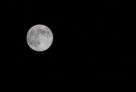 b0129008_8395881.jpg