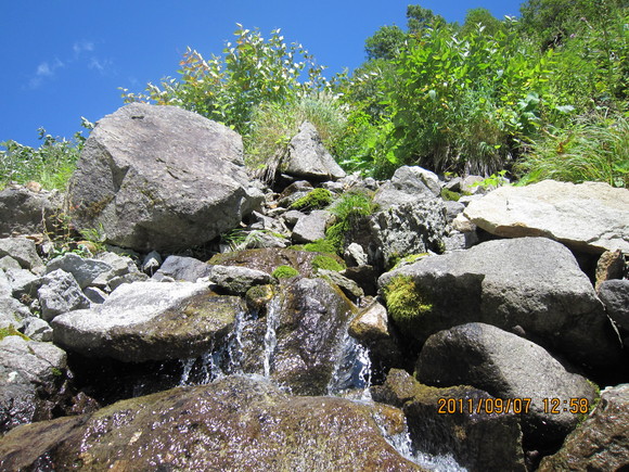 d0241509_21434721.jpg