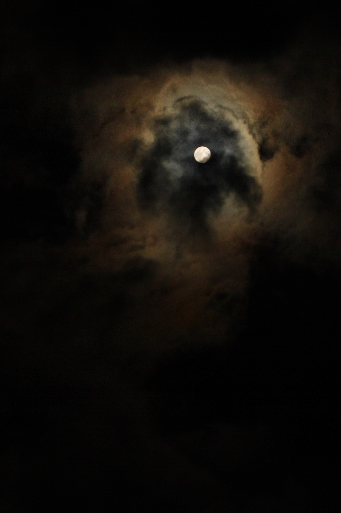 b0162110_11494257.jpg