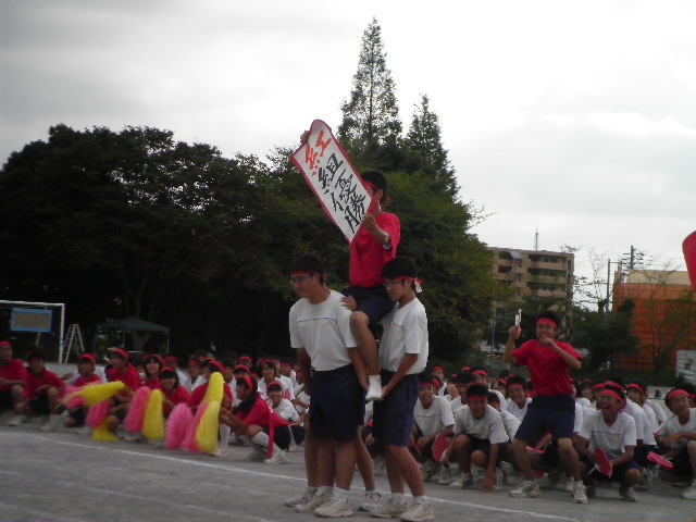 f0208812_8524192.jpg