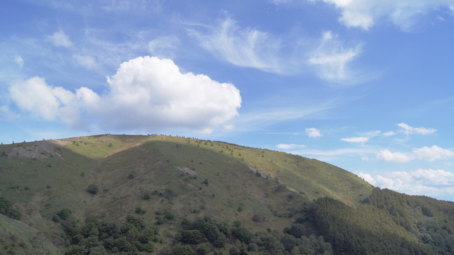 f0233414_2105490.jpg