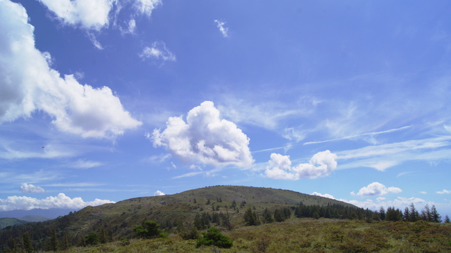 f0233414_2125588.jpg