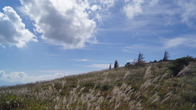 f0233414_216782.jpg