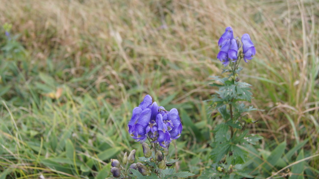 f0233414_2182622.jpg